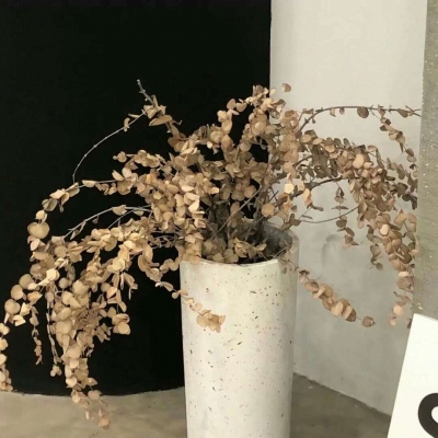 Furry绘画避坑指南福瑞群